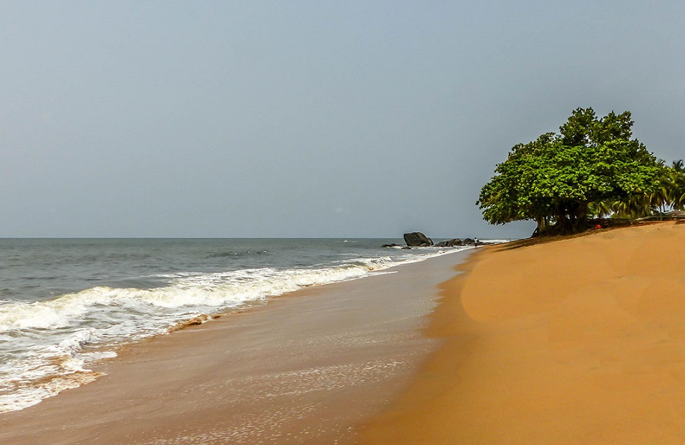 South Region | Ebolowa Cameroon | Chaud de lobe