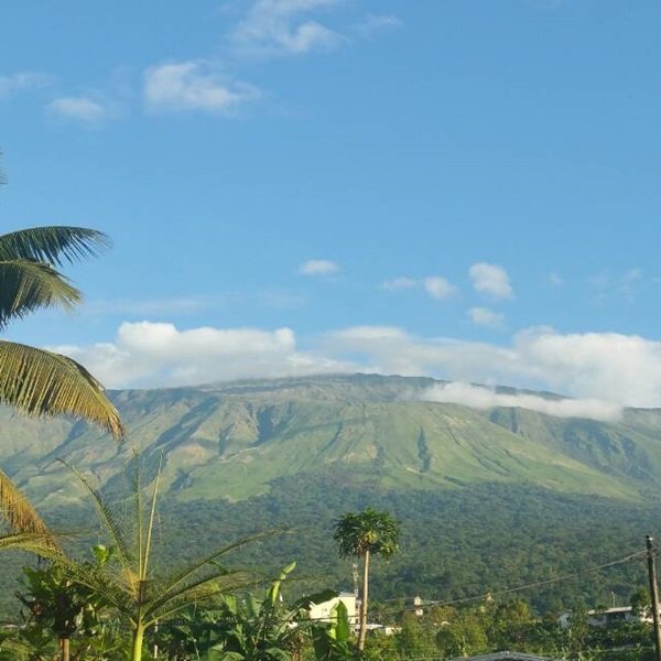Mount Cameroon Tours