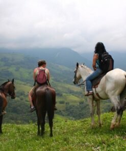 Horse Riding Tour In Fundong