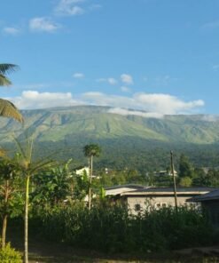 The Cameroon Mountains