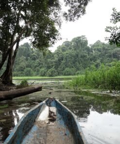 Ebogo Ecotouristic Site