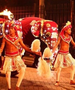 Dschang and the Chief’s Palace