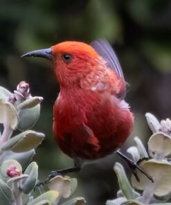 Special bird watching tour