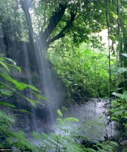 Belo Waterfall And Western Plains Tour
