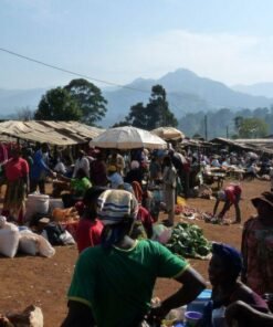 Belo Road and Market tour