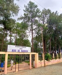 Bois de Mardock Ngaoundéré