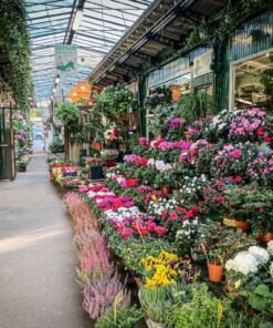 Marché des Fleurs Douala