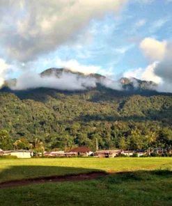 Bakossi Forest Reserve