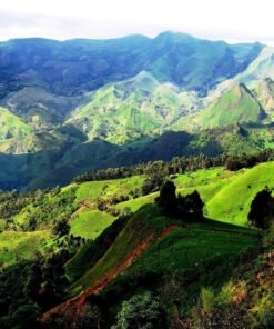 Monts Bamboutos – Bambouto Massif